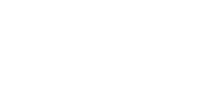 BitBotNetworks logo